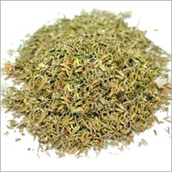 Thyme