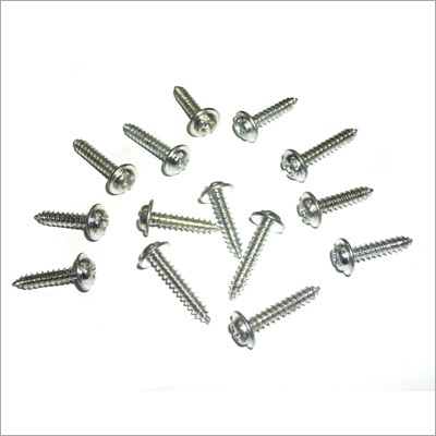 Forged Washer Head Screws