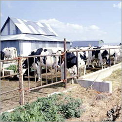 Waste Water Treatment System