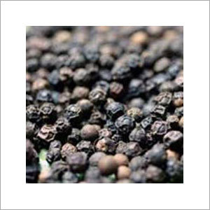 Black Pepper - 5mm, Black, 12% Moisture | Flavorful, Aromatic, Versatile, Fresh, Natural, Aflatoxin <5ppb