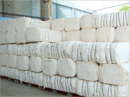 Raw Cotton Fiber