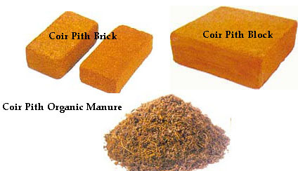 Coir Pith Blocks