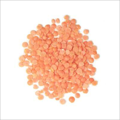 Lentils Masoorsplit