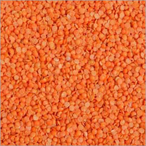 Lentils