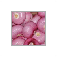 Fresh Onion