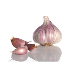 Fresh Garlic