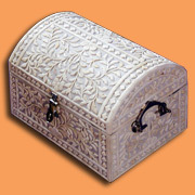 Multipurpose Bone Box