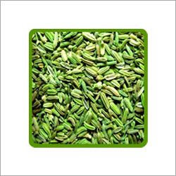 Fennel Seeds