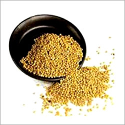 Yellow Mustard Seeds