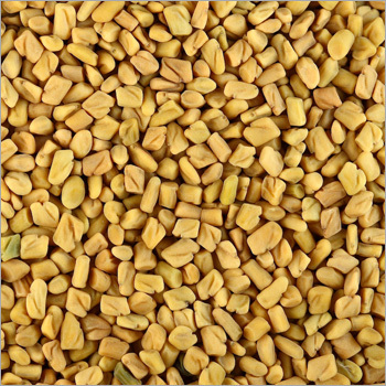 Fenugreek Seed