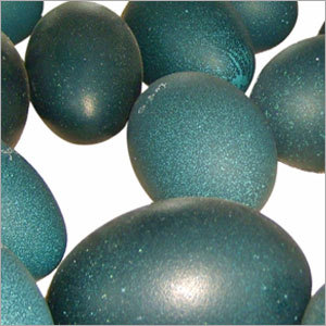 EMU Eggs