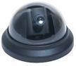 Dome Camera