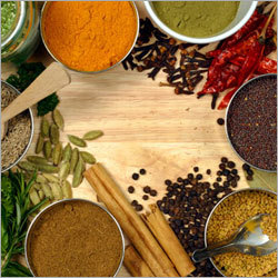 Spices and Seasonings