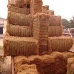 Coir Coconut Fibre
