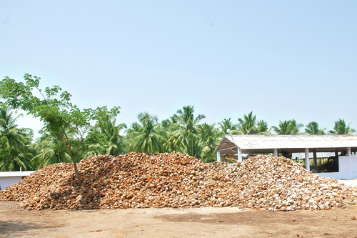 Coir Products