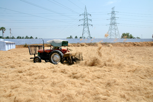 Coir Fibre Working Process