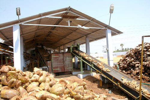 Coconut Shell Products