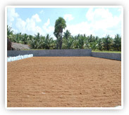 Natural Coconut Fiber