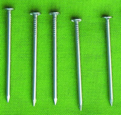Steel Common Nails