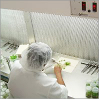 Biotechnology Industrial Training