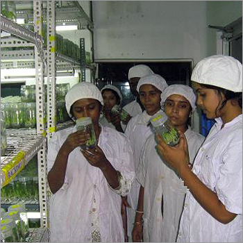 Industrial Biotech Training Programme