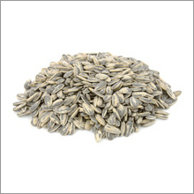 Sunflower seeds