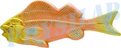 Fish Skeleton Model