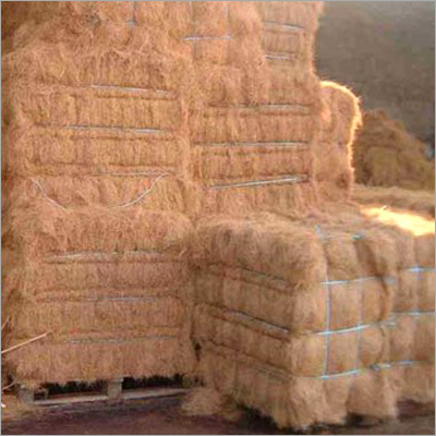 Coir Fibre