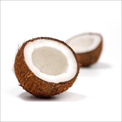 Coconut