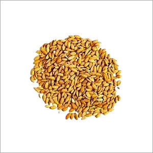 Paddy Rice