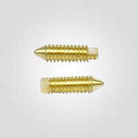 Double Slotted Screw