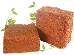 Coir Husks