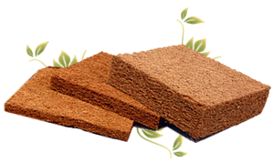 Coir Mattresses