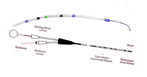 Billiary Cytology Brush