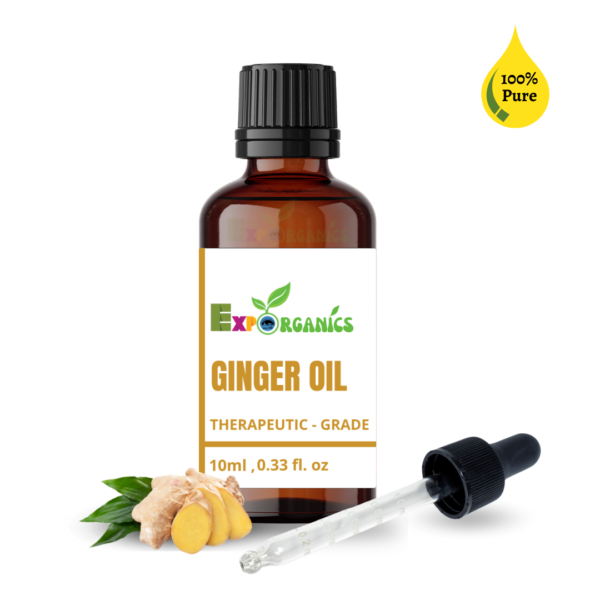 Ginger Oil - Age Group: Adults