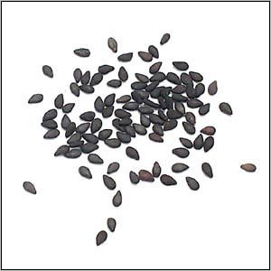Black Sesame Seed
