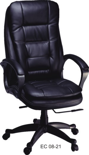Director Chairs