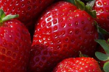 Strawberry Pulp