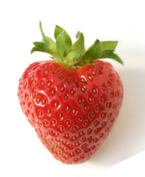 Indian Strawberry