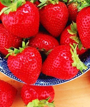 Strawberry Fruits