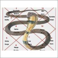 Kaal Sarp Yog service