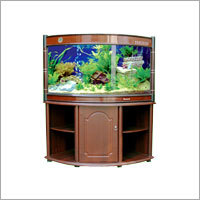 Decorative Fish Aquarium