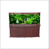 Fish Aquarium