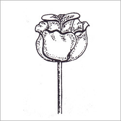 Ornamental Grill