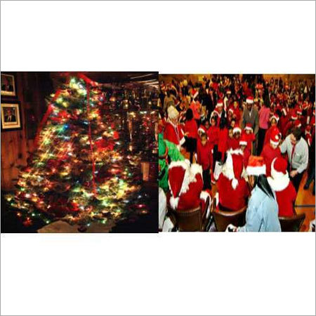 Christmas Party Organiser