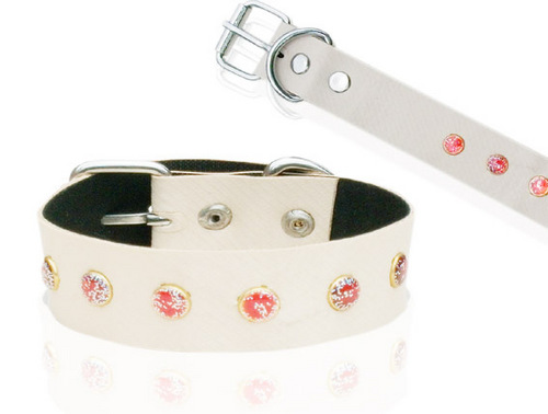 Leatheroid Dog Collar