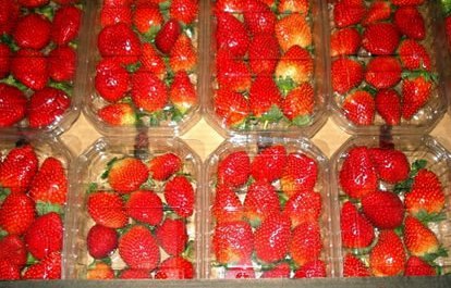 Packaged Strawberry