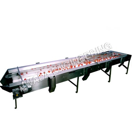 Inspection Conveyor