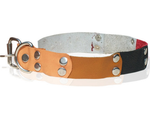 HIGH QUAILITY MULTICOLOUR LEATHER DOG COLLAR (L018C)