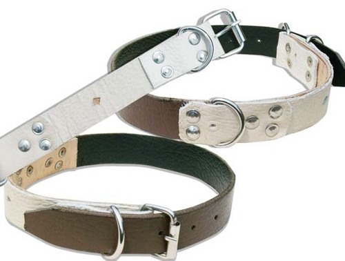 HIGH QUILITY DESIGNING TWO LAYER LEATHER DOG COLLAR (L044C)